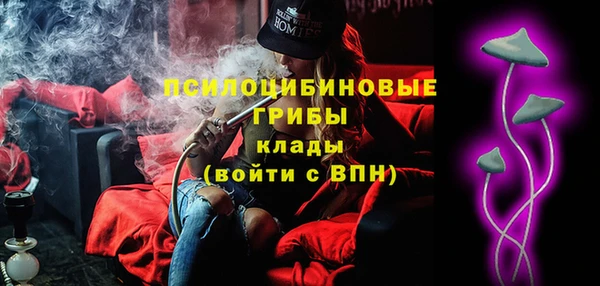 бошки Абаза