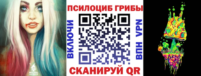 Псилоцибиновые грибы Cubensis Советск