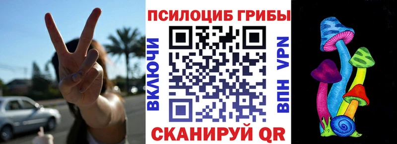 hydra маркетплейс  купить  цена  Советск  Псилоцибиновые грибы Psilocybe 