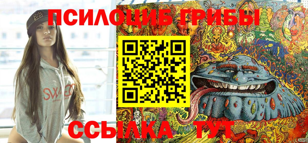 дарнет шоп  Галлюциногенные грибы Psilocybine cubensis  Вход с VPN  Советск 